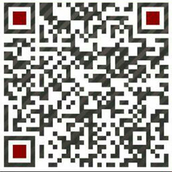 蜜桃视频APP色版微信客服